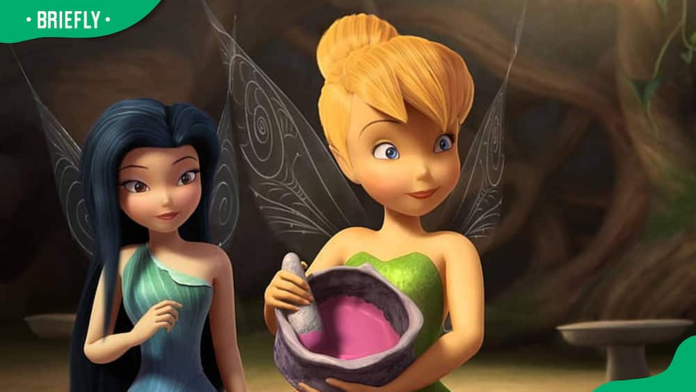 Tinker Bell encounter a rogue fairy named Zarina