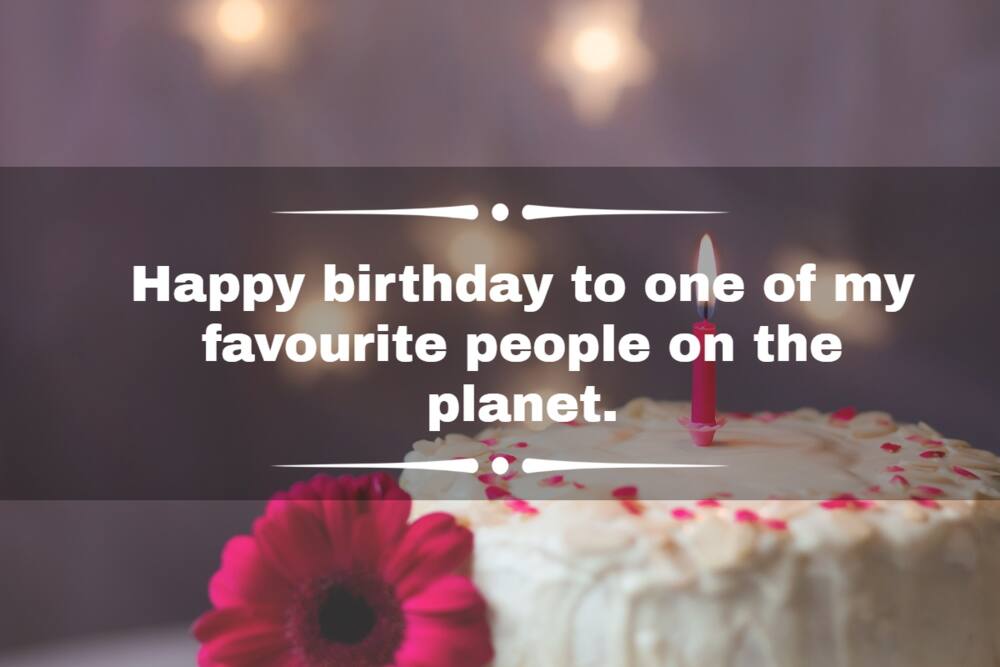 special happy birthday messages special happy birthday messages