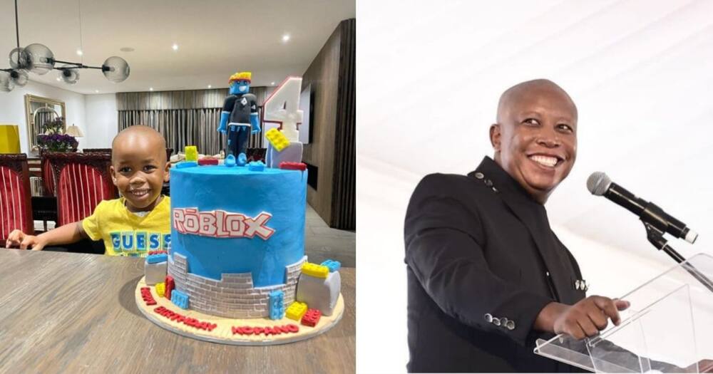 cake, boy, birthday, julius, malema, microphone, icing, bornday, mic