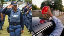 Hawks thwart electronics heist on courier vehicle after high-speed chase ends in the death of 4 robbers