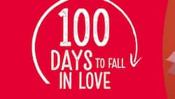 100 Days to Fall in Love Telemundo: Cast, full story, plot summary, teasers