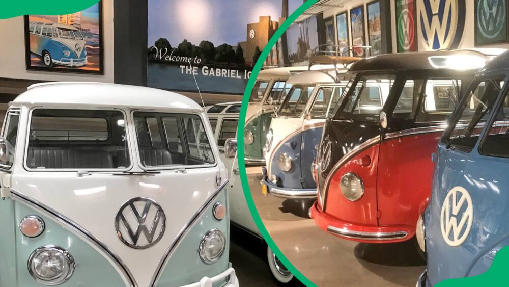 Fluffy's VW collection