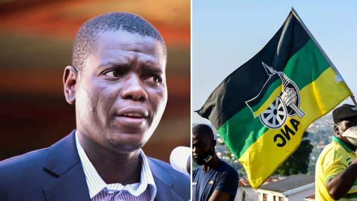 War over cadre deployment: DA wants it scrapped but Lamola vows it's here to stay