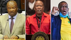 From Bantu Holomisa and Julius Malema to Ace Magashule: 5 prominent ex-ANC figures who were expelled