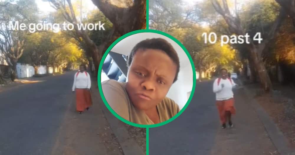 Domestic worker, Mzansi, South Africa, TikTok video