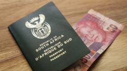 4 Home Affairs officials nabbed for allegedly selling SA passports to foreign nationals, Mzansi outraged