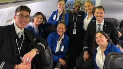 What is the average flight attendant salary in the USA in 2022?