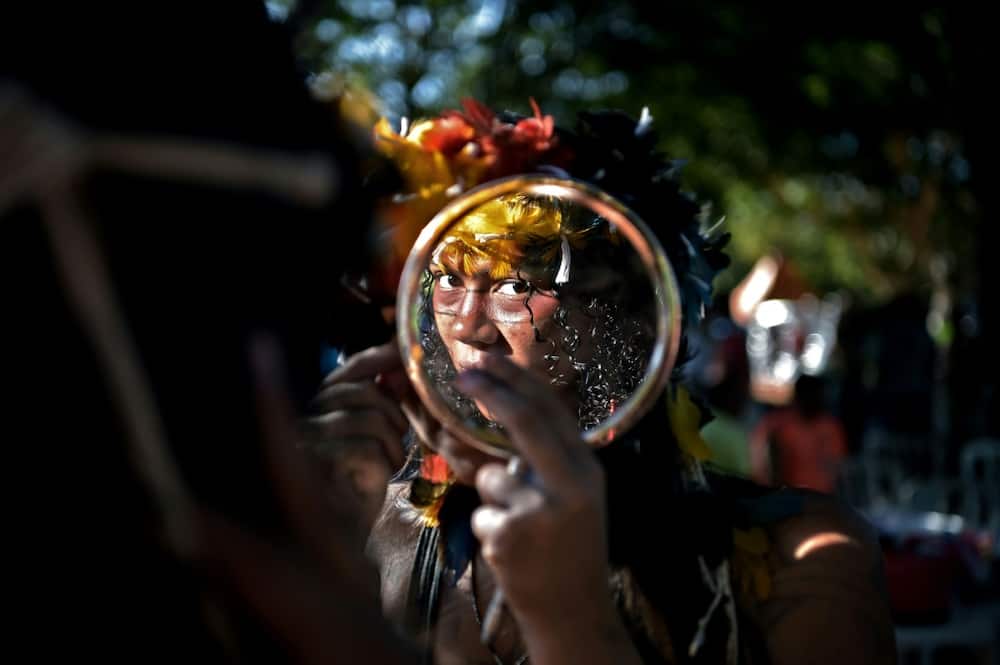 The UN report said indigenous land rights and knowledge was crucial in protecting species The UN report said indigenous land rights and knowledge was crucial in protecting species