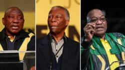 ANC in Limpopo says Zuma, Mbeki & Motlanthe should stop bashing Ramaphosa in public