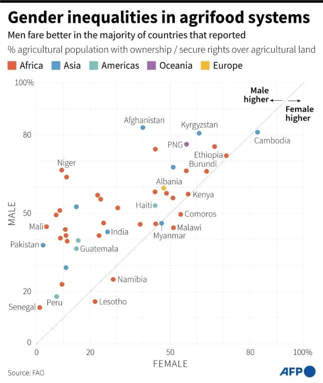 World Would Gain $1 Tn By Closing Agriculture Gender Gap: UN - Briefly ...