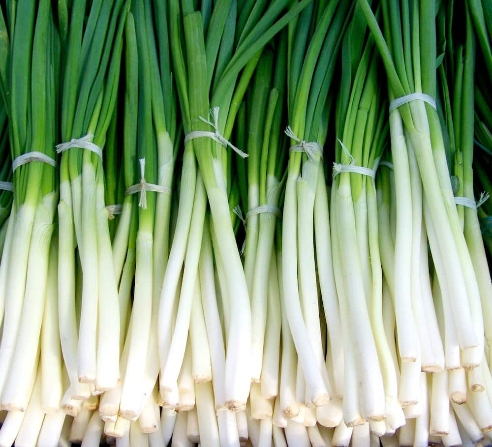 winter vegetables South Africa