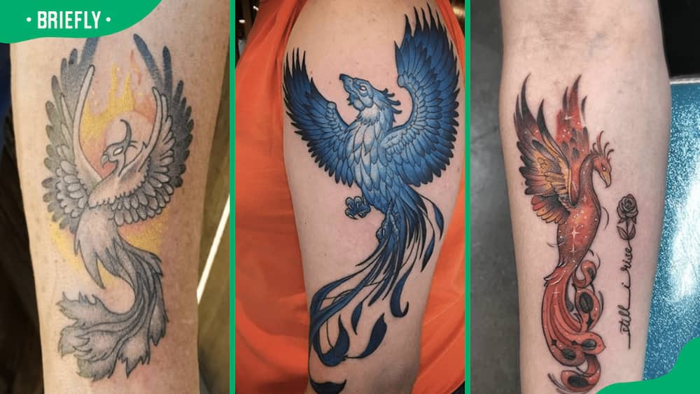 Stunning phoenix tattoo designs