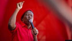 "The country must move to Level 1," Malema demands political right to assemble