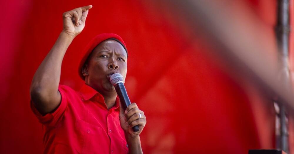 Mzansi reacts to Malema's EFF presser