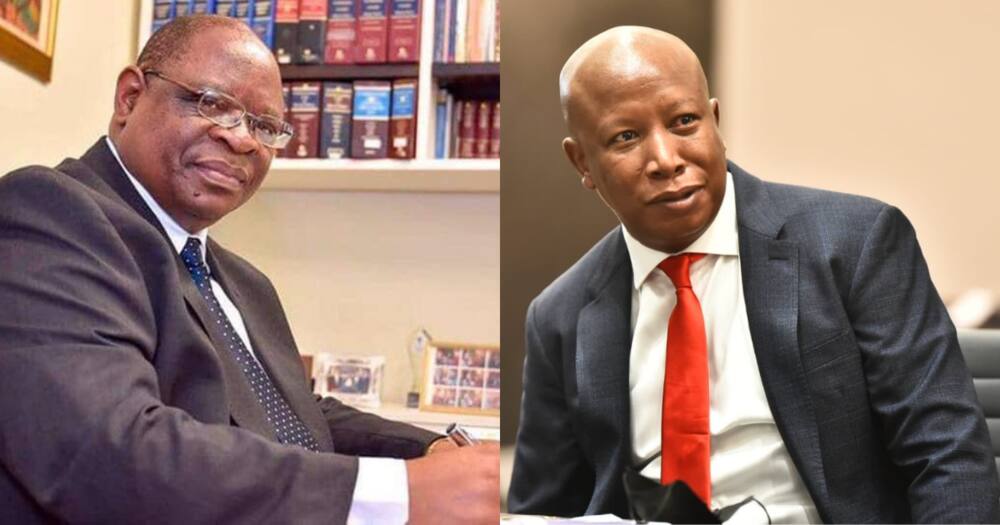 Chief Justice, Raymond Zondo, Mandisa Maya