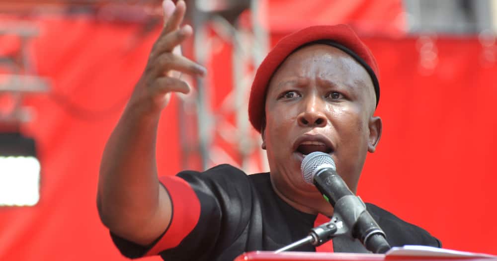 Julius Malema, EFF, Local government elections, campaign trail, Limpopo Seshego