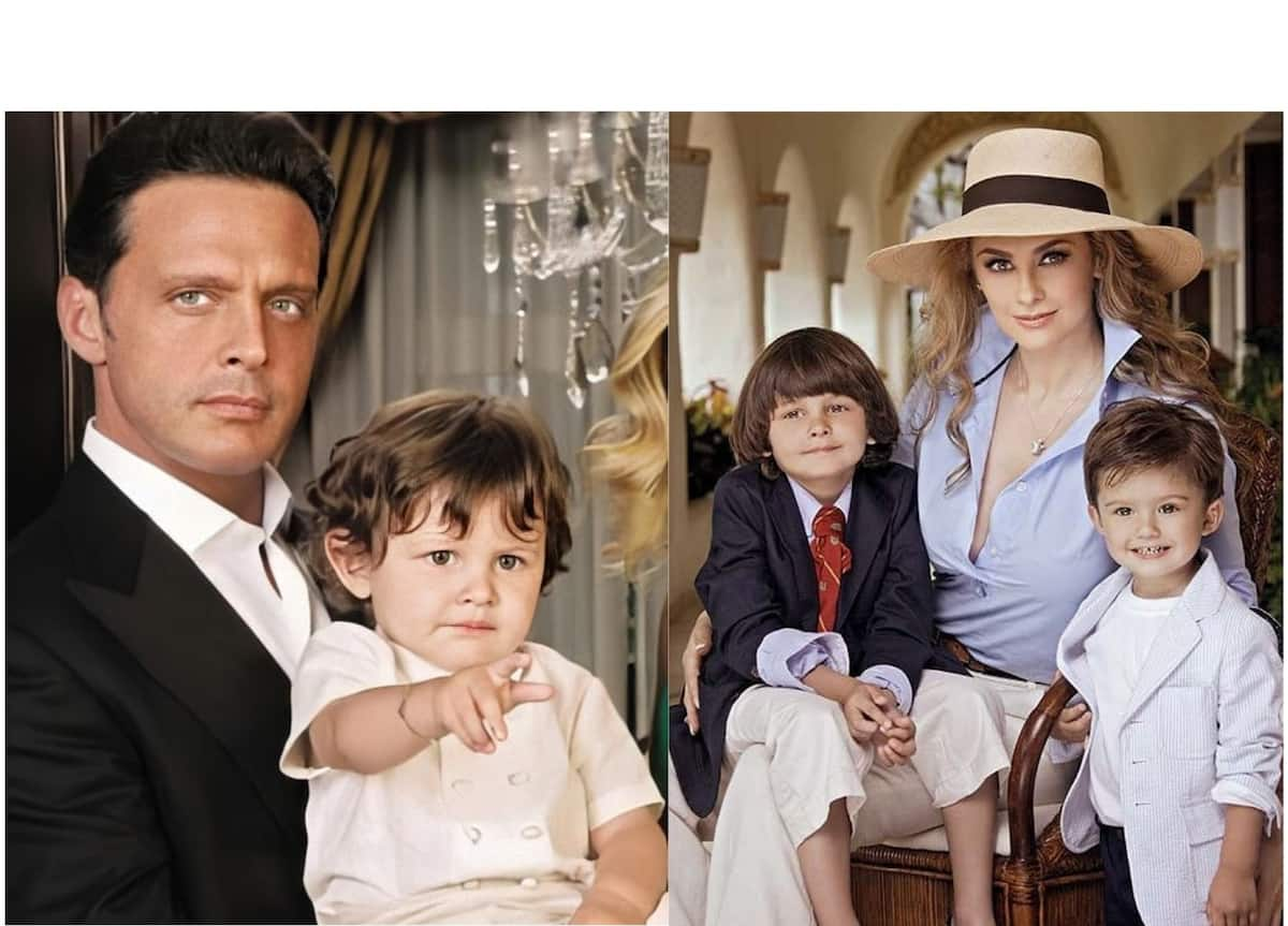 Full details and bio of Daniel Gallego Arámbula, Luis Miguel's son