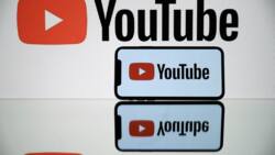 US YouTuber who staged plane crash jailed for six months
