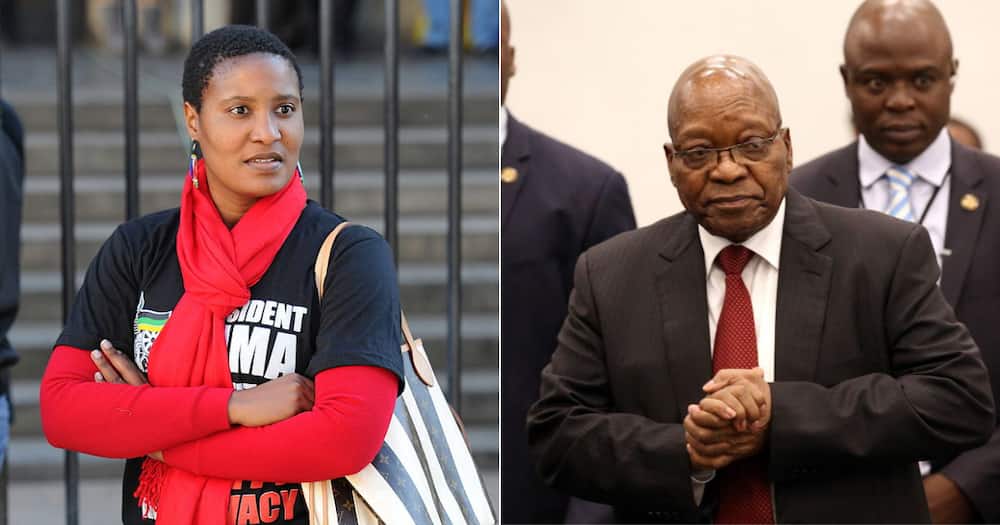 Duduzile Zuma, Jacob Zuma, #FreeJacobZuma, Twitter reactions