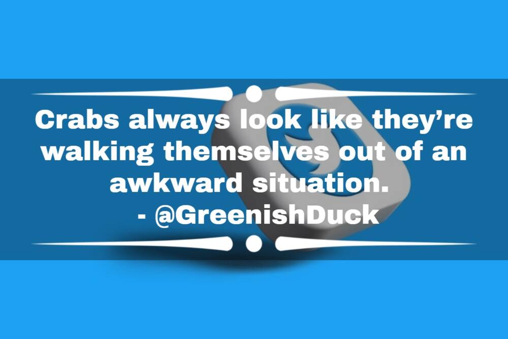 100+ Funny tweets that will definitely take away your Monday blues - 100+ Funny tweets that will definitely take away your Monday blues -