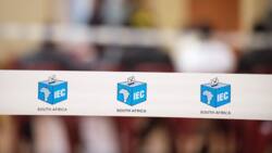 IEC probes vote rigging allegations in Durban, IFP accuses ANC of tampering with special votes