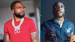 Burna Boy concert promoter Gregory Wings files for protection order against Abraham Radebe