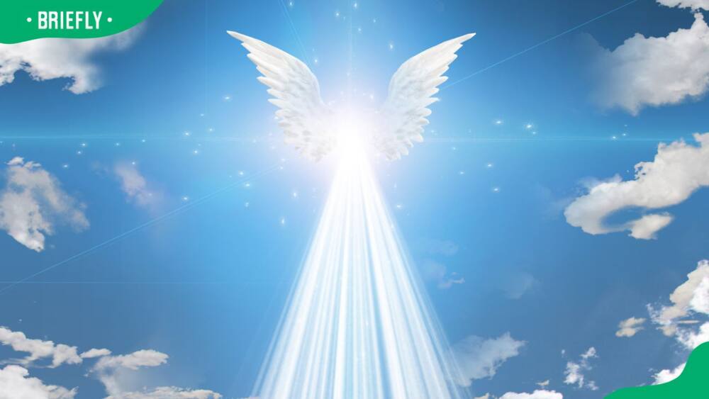 A pair of white angel wings in a clear sky