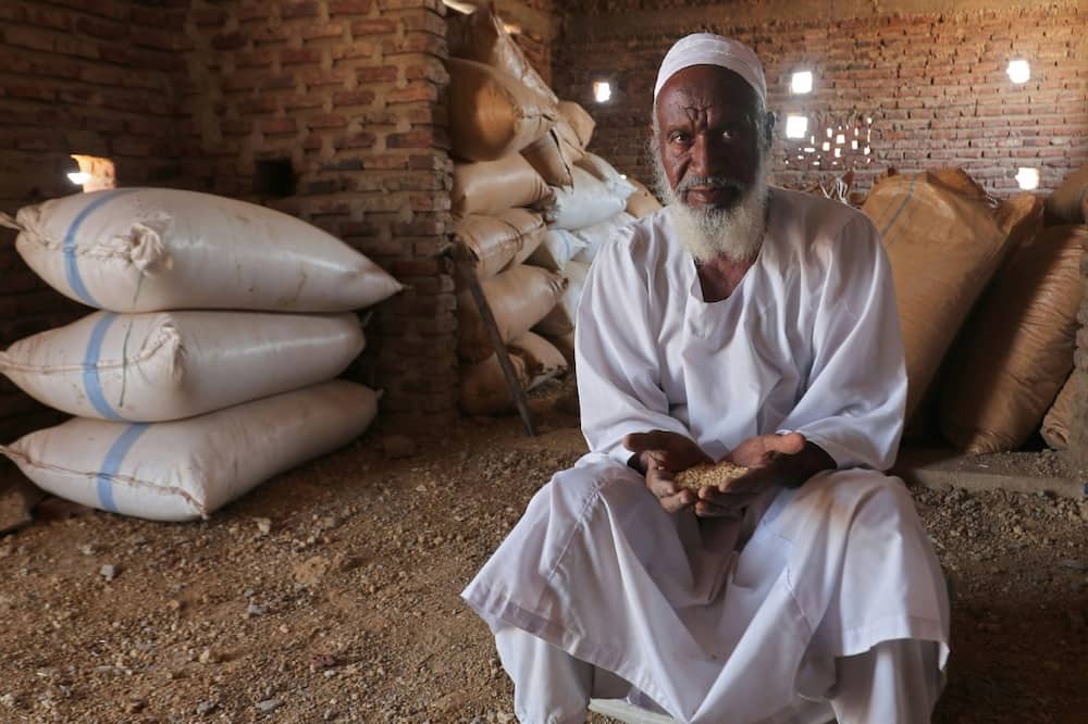 Sudanese farmer Modawi Ahmed is seen inside his granary in the village of Al-Laota, southwest of the capital Khartoum. He says the bank only agreed to buy less than half of his harvest, and he now fears the rest will spoil