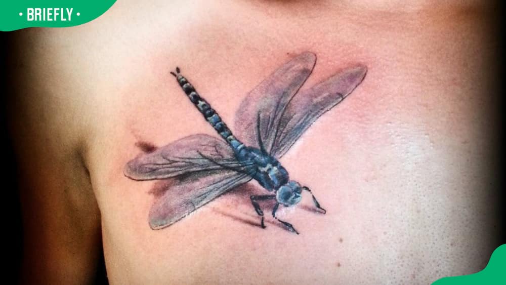 3D dragonfly tattoo
