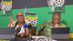 ANC Gauteng calls for quotas to boost South African employment over foreigners in private sector