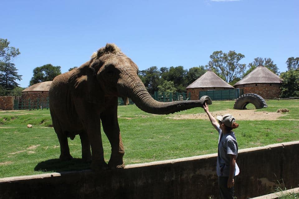 The complete list of things to do with kids in Johannesburg
