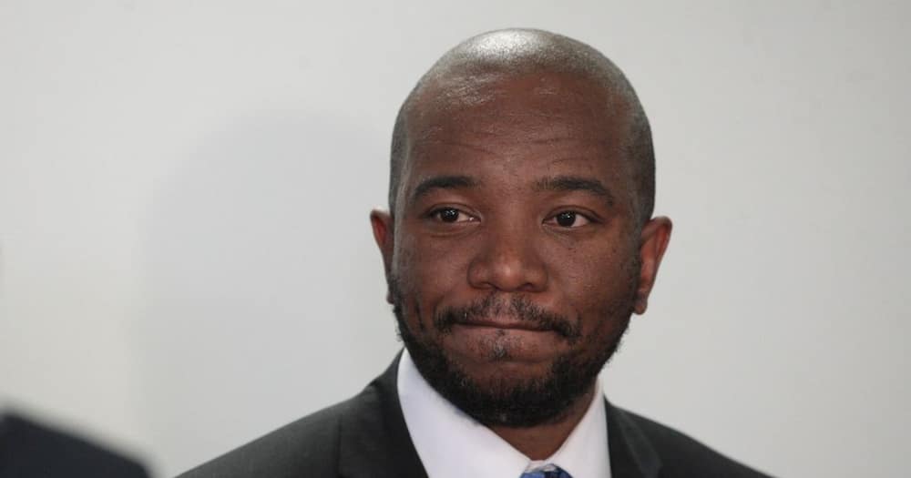Mmusi Maimane, Viral video, Boy, Want to help, Twitter reactions