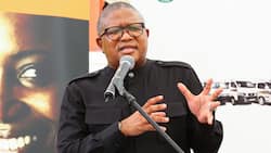 Fikile Mbalula leaves social media confused after posting cryptic tweet about landing in Ukraine