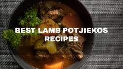 Best lamb potjiekos recipes in South Africa: yummy recipes to try