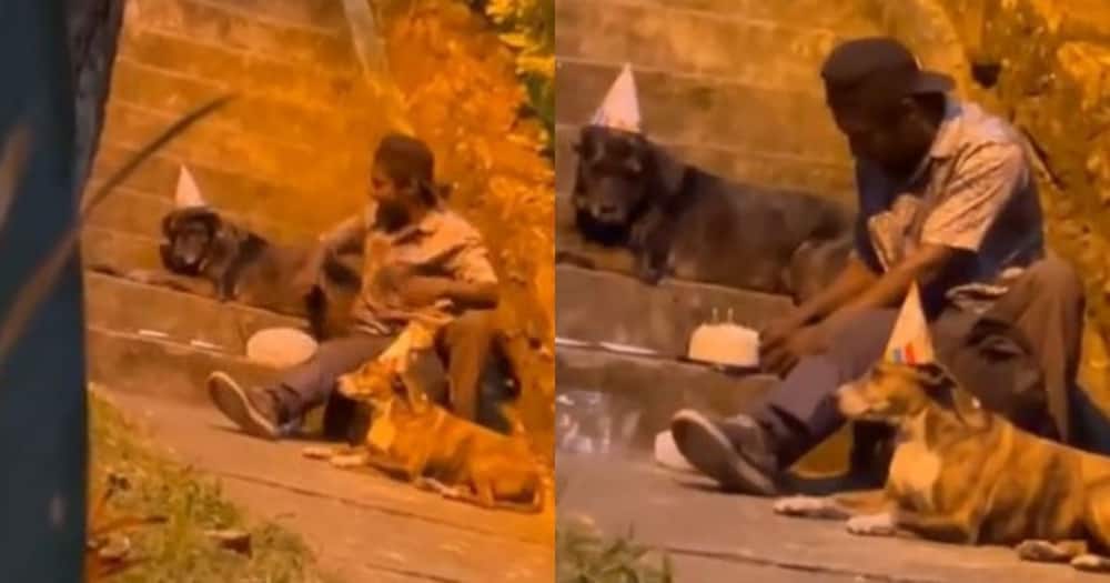 Heartwrenching, crying, emotional video, pet owner, dogs, furbabies, dog lover, animal lover, viral video, trending video, viral news