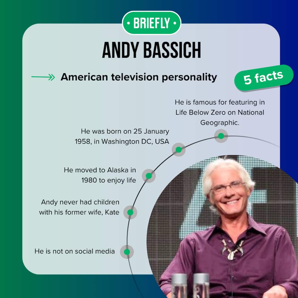Andy Bassich's bio