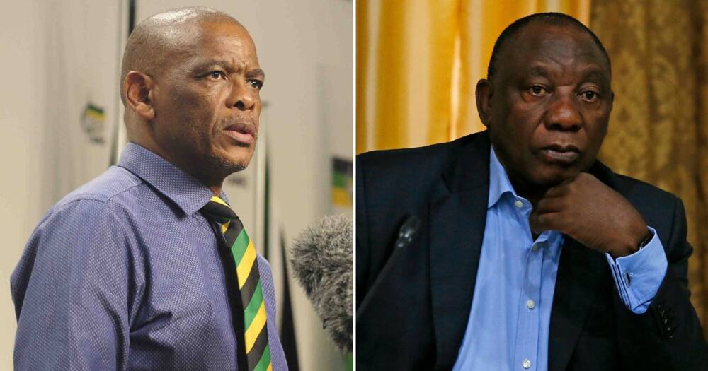 Ace Magashule, weighs in, Cyril Ramaphosa, farm theft, people charged, step aside, ANC