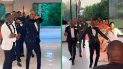 Limpopo wedding MC dishes vibes in viral TikTok video: Mzansi pray their big day is this lit