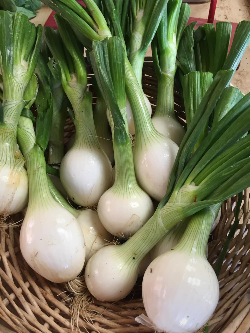 How long do onions last