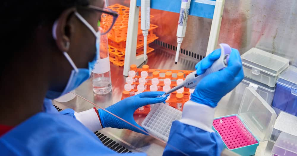 PCR tests, Covid 19, Coronavirus