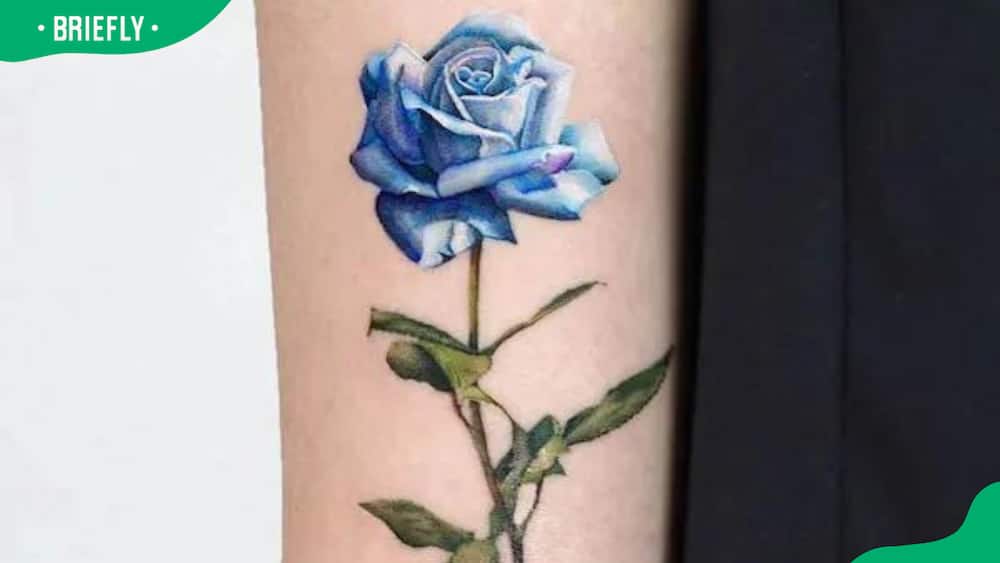 Micro-realism blue rose tattoo