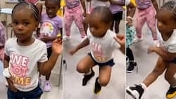 Adorable little girl goes viral for lit dance moves as many predict tiny tot's future as pro dancer