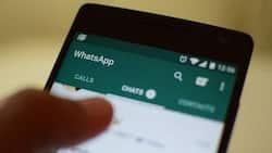 WhatsApp Warns Online Safety Bill Could Infringe Privacy of Users Worldwide