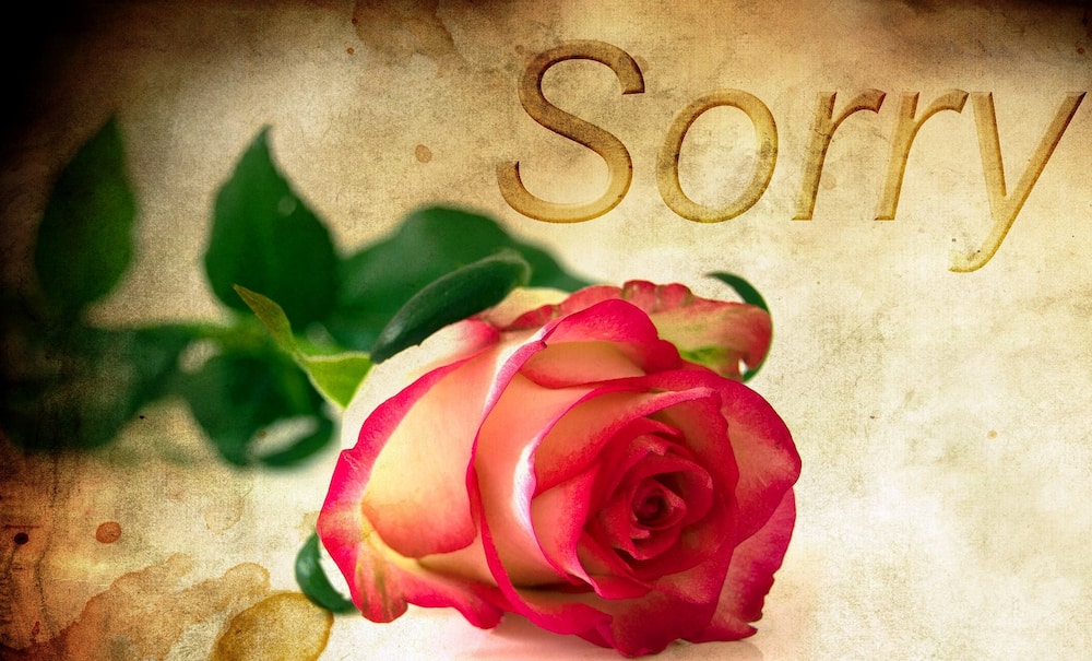 40 melting I am sorry quotes with images 2019 40 melting I am sorry quotes with images 2019