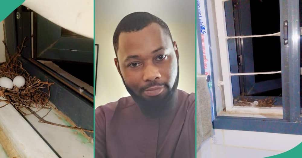 Nigerian man causes uproar, shares eggs he found in friend's bathroom