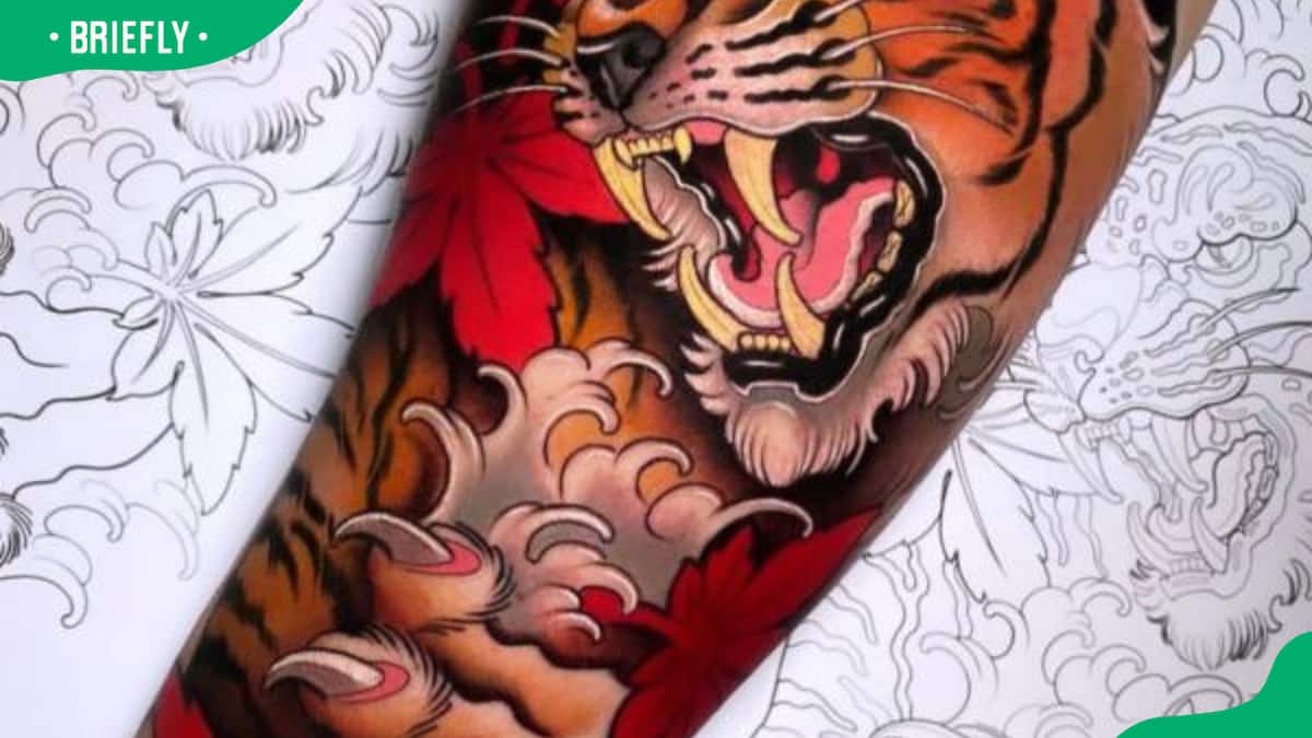 Tiger Claw Tattoo Designs - Temu