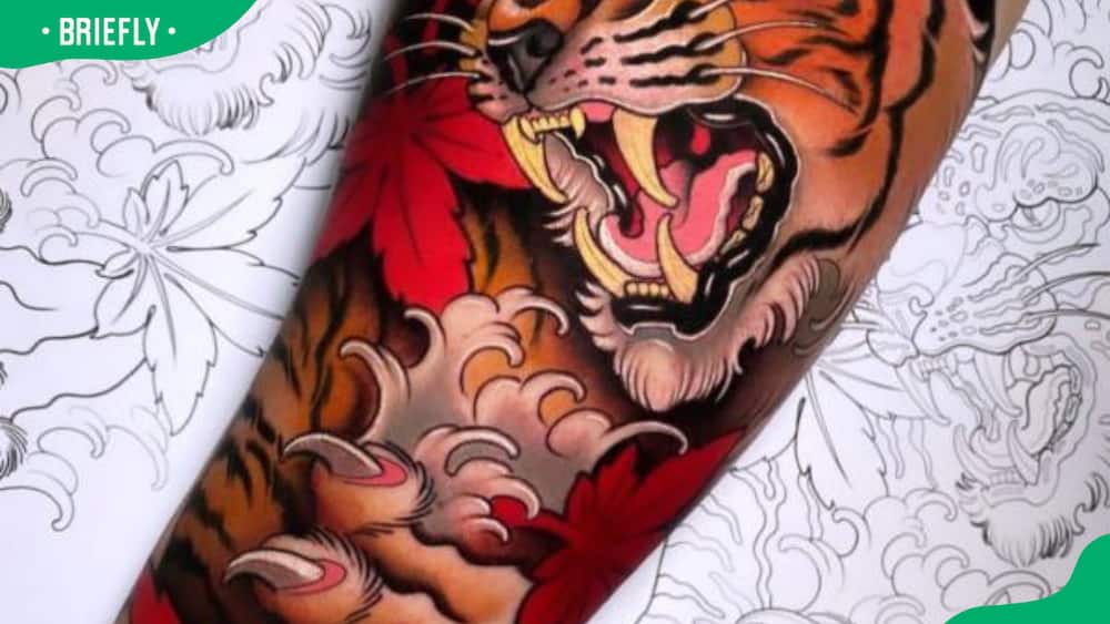 Japanese tiger and claw tattoo design