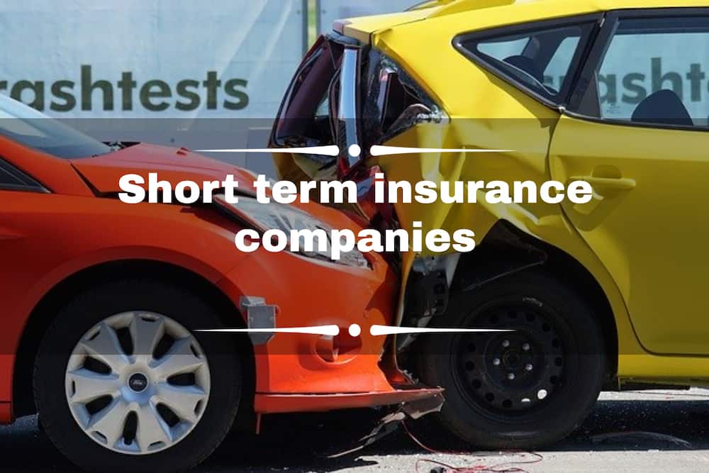 Best short term insurance companies South Africa 2020