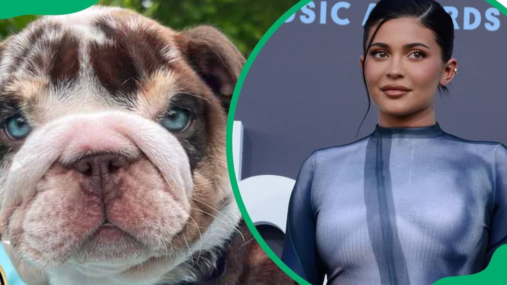 Close-up of the expensive Rolly (L). Kylie Jenner during the 2022 Billboard Music Awards (R)
