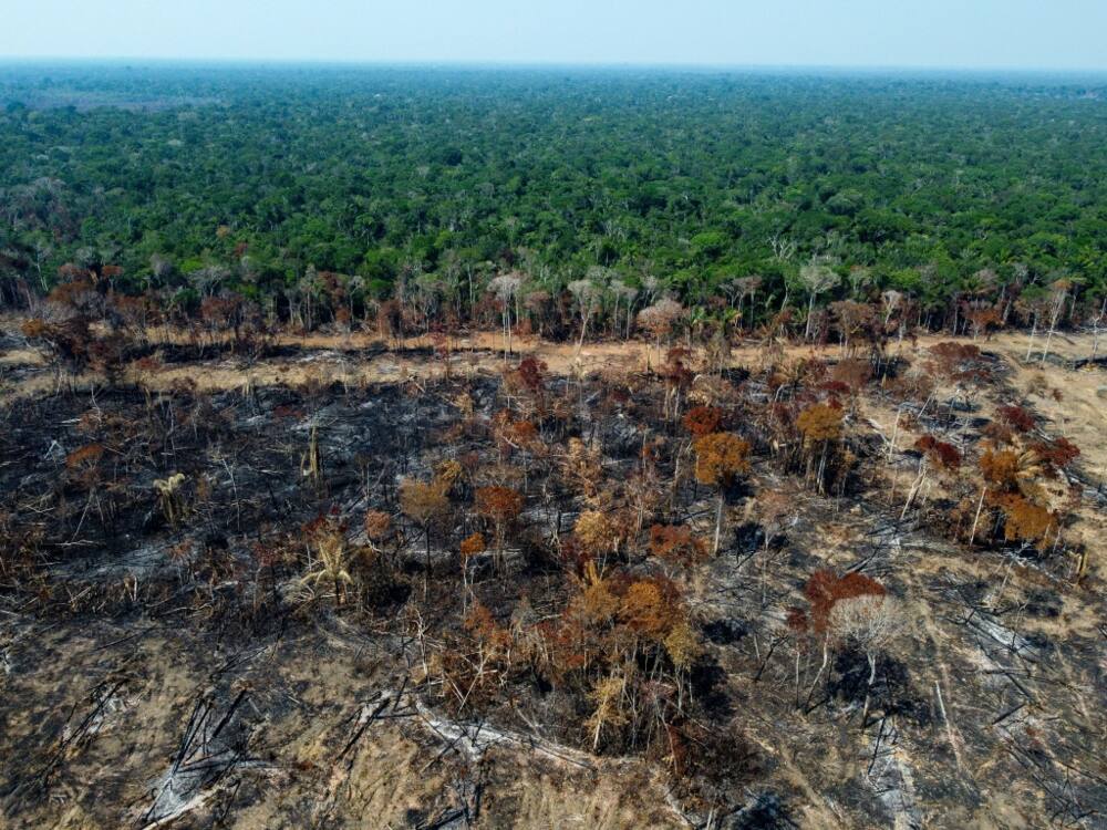 Brazilian President Luiz Inacio Lula da Silva has vowed to make tackling illegal deforestation in the Amazon a top priority